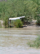 Flood 2008